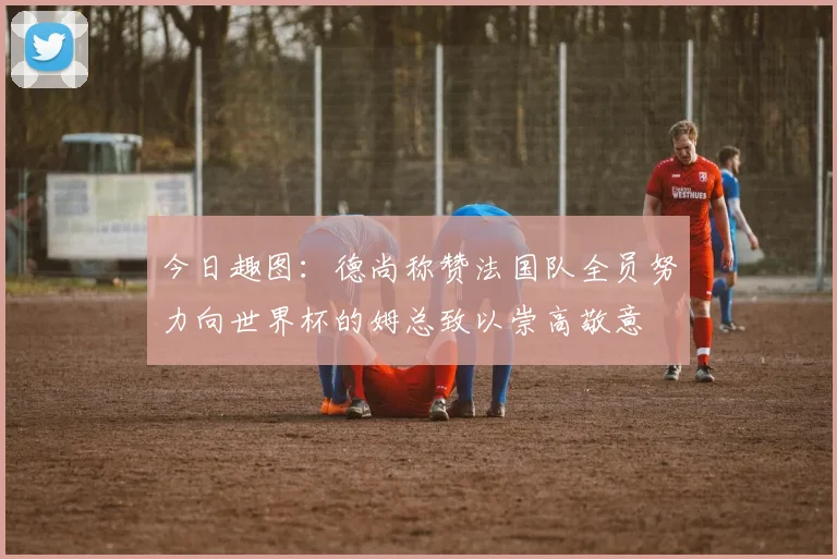 今日趣图：德尚称赞法国队全员努力向世界杯的姆总致以崇高敬意